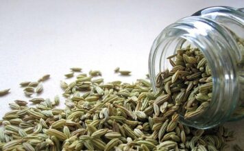 Šta se dešava kada pijete vodu sa komoračem svake večeri tokom mesec dana?